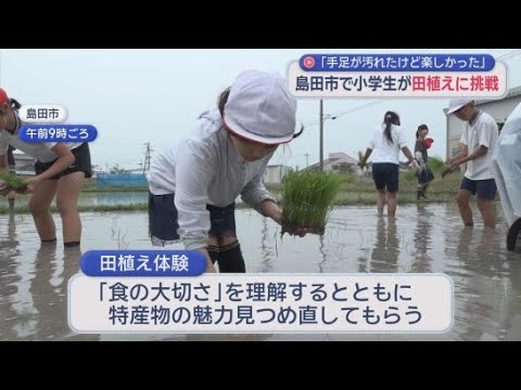 YouTube Video 「田んぼの中はヌメヌメ」小学生が田植えに挑戦　食の大切さ
