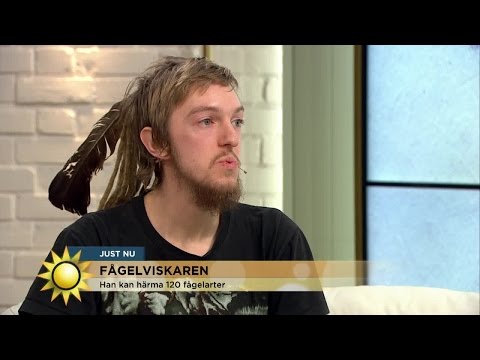 , title : 'Han kan härma 120 fågelarter - Nyhetsmorgon (TV4)'