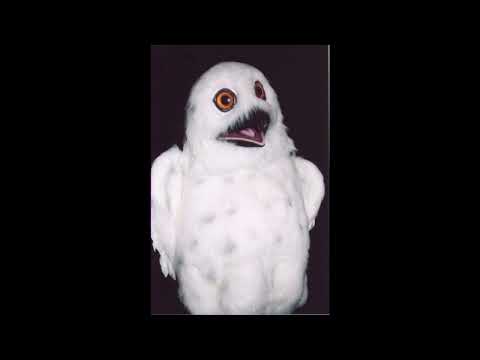 The Dj Owlz Show Nu Rave com Radio  Sun Feb 28 2010