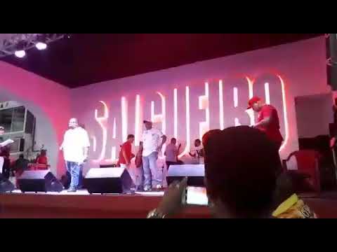 Samba (13) Salgueiro 2019