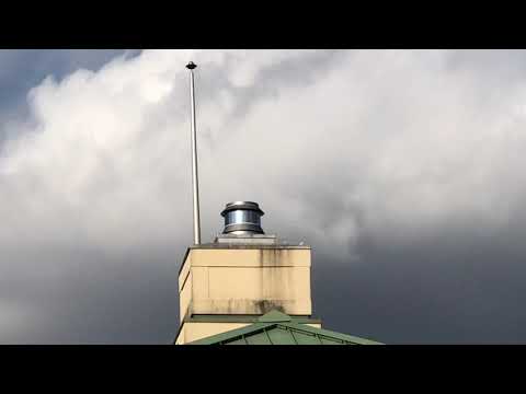 Pigeons Problems in Vineland, NJ