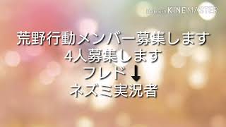 荒野行動メンバー募集しまぁーーーーす
