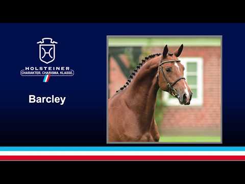 Die Verbandshengste 2020 - Barcley v. Baloubet du Rouet-Clearway