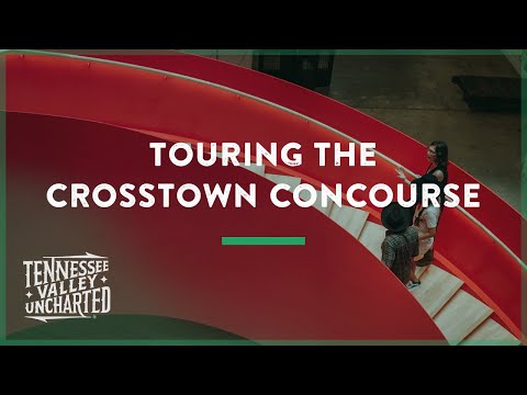 download lagu mp3 mp4 Coffee Roasters Memphis Tn, download lagu Coffee Roasters Memphis Tn gratis, unduh video klip Coffee Roasters Memphis Tn