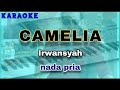 Karaoke CAMELIA Nada Pria Irwansyah