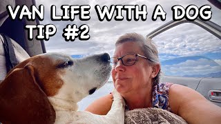 VAN LIFE CAMPING WITH A DOG TIPS & TRICKS | Solo female van life Australia