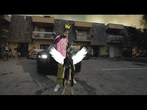 RC P.A.P Music Video