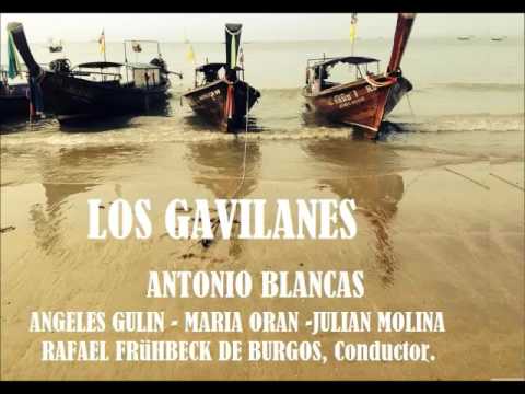 Vídeo: <cite>Los gavilanes</cite>