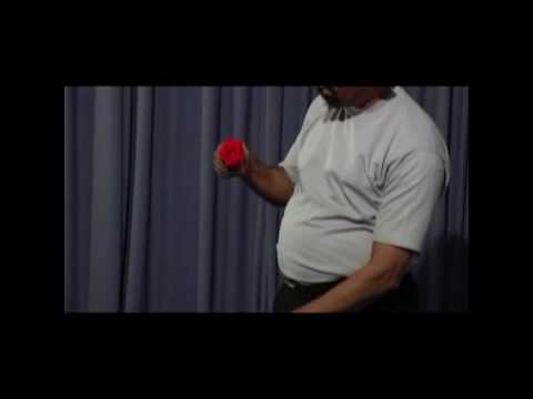 Silk To Rose by Uday