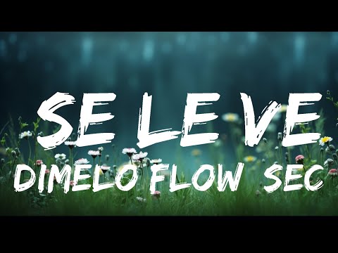 Dimelo Flow, Sech, Lenny Tavarez, Arcangel, De La Ghetto, Justin Quiles, Dalex - Se Le Ve | Top Be