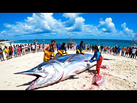 Catching a GIANT Swordfish Offshore — Breathless Battle | Documentary