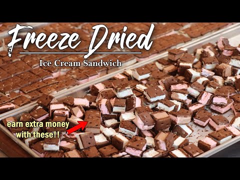 How to Freeze-Dry Ice Cream Sandwiches | Great for your small business