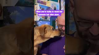 Premium #boardgames content right here lol #funny #gsd