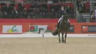 Video koně neznámé