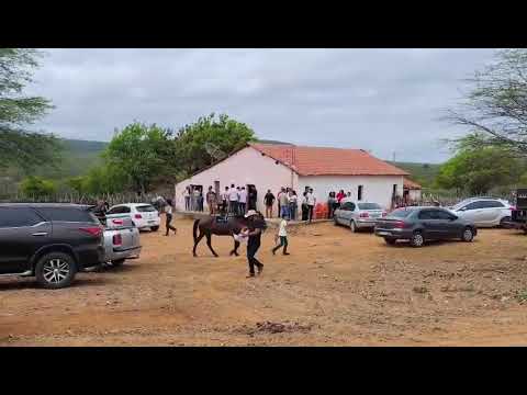 SERTÃO pernambucano sítio Barreiras Mirandiba.