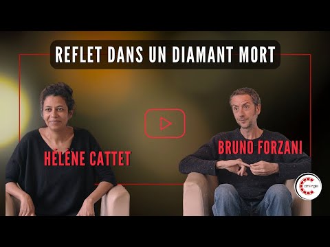 Hélène Cattet & Bruno Forzani - Reflet dans un diamant mort  #cinergie #cinema #film #2025 #flagey