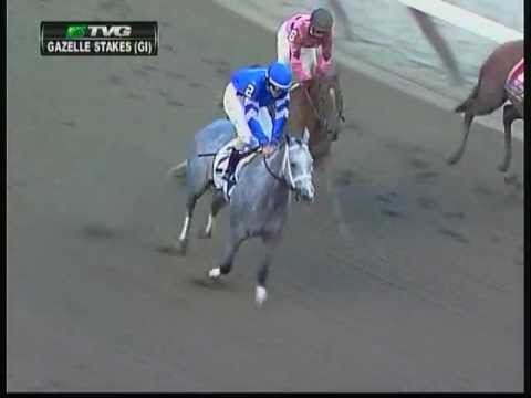 2012 Gazelle Stakes - Dance Card