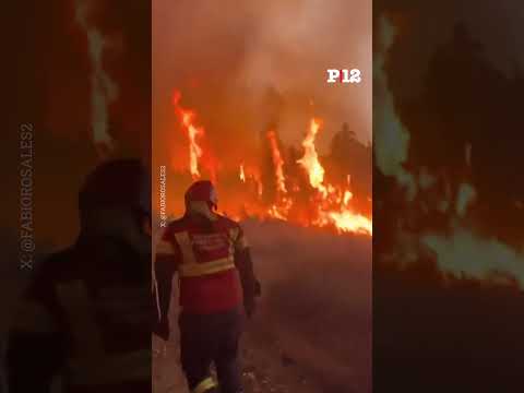 🔥 Así son los impresionantes incendios en Chubut