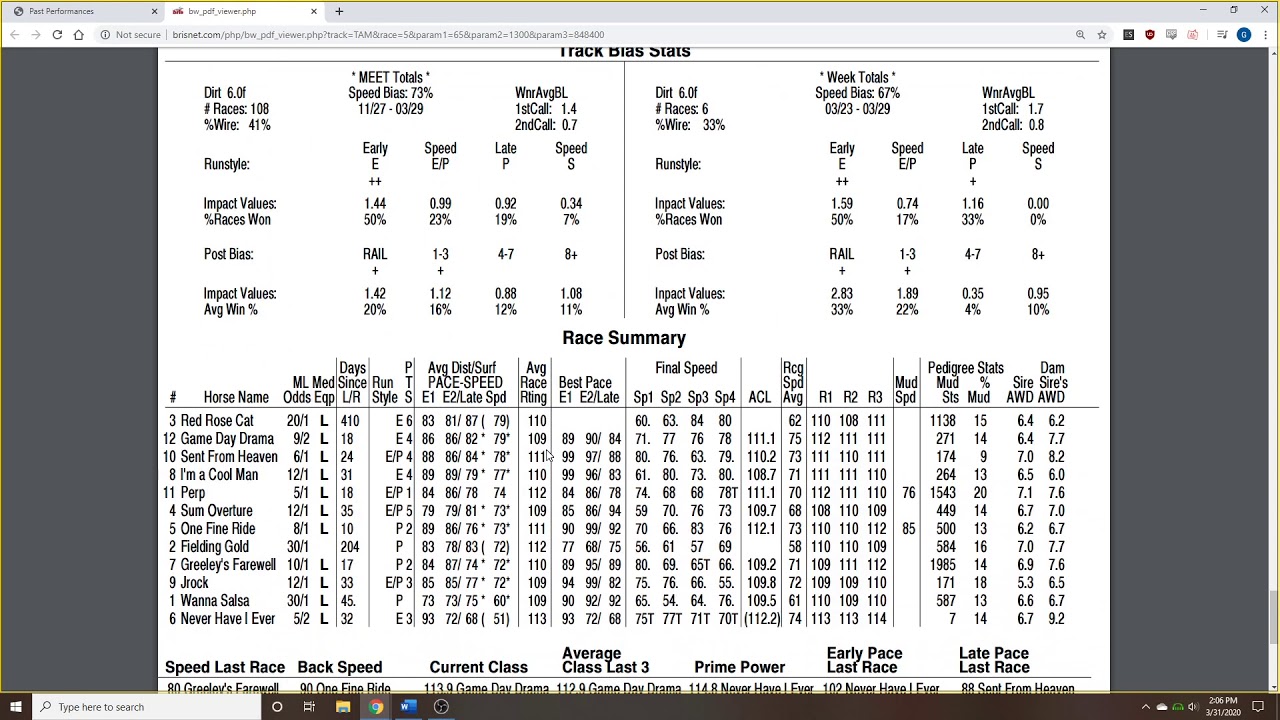 [Beginners] Dirt Handicapping with Greg