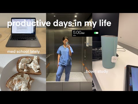Finals Week Study Vlog: 5AM Mornings, Getting Sick & Staying Productive