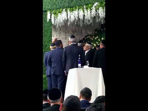 Yair Hamra -יאיר חמרה- chuppah שבע ברכות