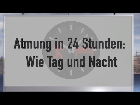 Atem in 24 Stunden: Ein Unterschied wie Tag und Nacht! (Mit-) Ursache von Panik im Schlaf