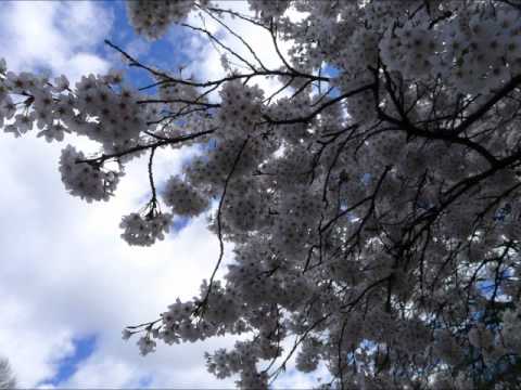 Jay sings Yoseob's 안돼