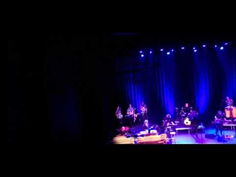 Kentucky rain Elvis Presley Calling Elvis tribute live in concert in de hofnar cover mark elbers