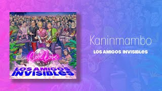 Kaninmambo  Los Amigos Invisibles