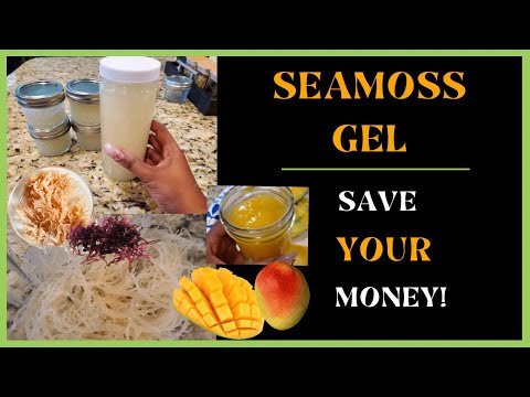 How to Make Sea Moss Gel | Save Money | Benefits, Uses, & Key Tips | My Quick Testimony