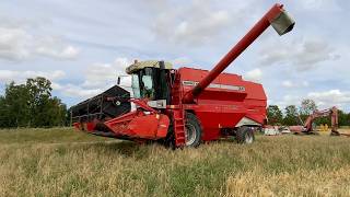 Moissonneuse-batteuse Massey Ferguson 34 | Image 4 - Agroline