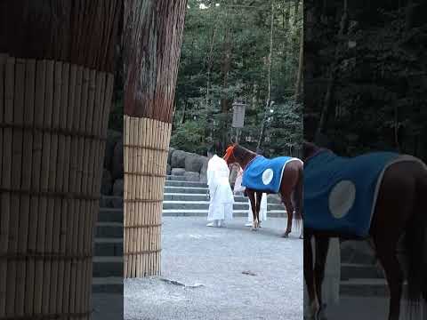 Silent Bow of the Divine Horse