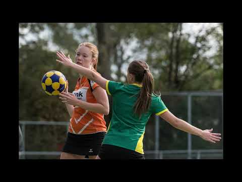 PernixA1- Groen Geel A2 (foto's)