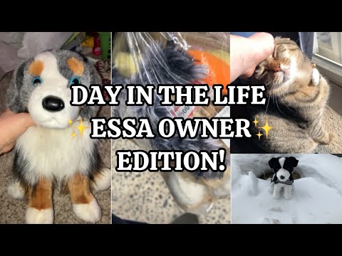 Day in the life of an essa owner! (+thrift store trip!)