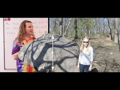 Introduction to Newton’s First Law of Motion