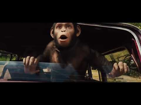 Caesar Growing Up Scene - Rise of the Planet of the Apes (2011)