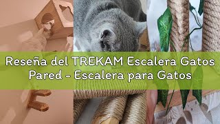 Reseña del TREKAM Escalera Gatos Pared - Escalera para Gatos con Montaje en Pared Estable y Robusta