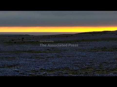 Global goals to protect oceans, finance nature falling short as ...