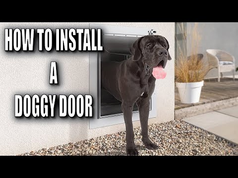 YouTube video about: How to cut stucco for dog door?