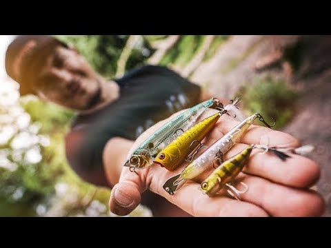 THIS IS GUARANTEED TO CATCH TOPWATER BASS!