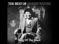 Muddy Waters ~ Walkin' Blues