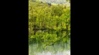 preview picture of video 'Croatia Plitvica lake (16 Lakes) 5/26/2013'