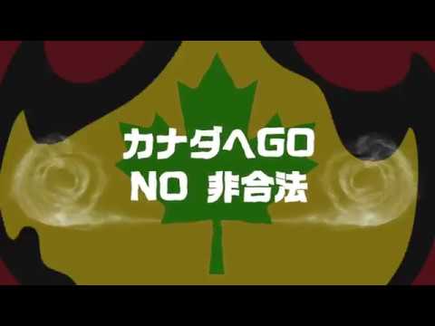【MV】カナダへGO!! / JUMBO MAATCH (MJR RECORDS)
