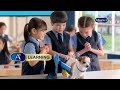 Support Your Child S HIGHER INTELLIGENCE