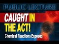 Public Lecture | Caught in the Act! Chemical Reactions Exposed