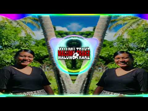 vakatitiqa remix - paradise roots ft one 2 eight dj