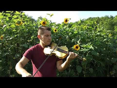 Gliga Gems 2 Violin review