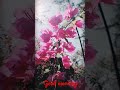 Tuji Mein Rab Dikhta Hai Flute Version WhatsApp Status