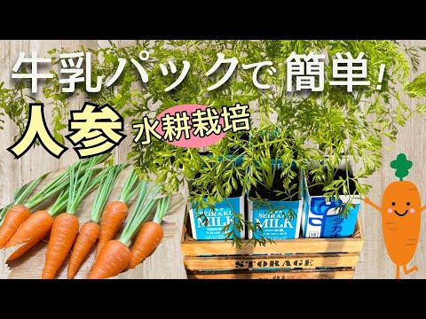 産卵鶏用の小麦を発芽させるにはどうすればよいですか？利点は何ですか?  庭園