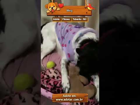 Vídeo de Meg